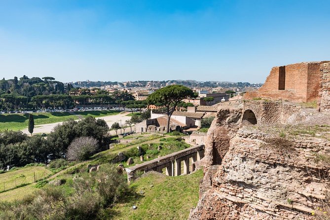 Private Tour of the Colosseum with Roman Forum & Palatine Hill - Getting In Smoothly: Reserved Tickets and Mobile Entry