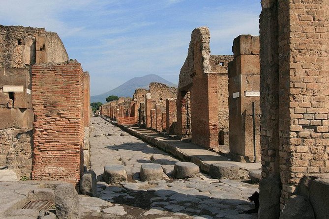 Private Tour: Pompeii and Positano Day Trip from Rome - Price and Logistics: Is $550.09 Worth It for a Private Day Trip?