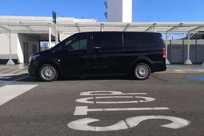 Private Transfer From/To Airport or Port or Rome city. - Flight Tracking and the 90-Minute Wait Window