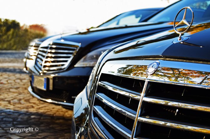 Private Transfer: Rome Fiumicino Airport to Civitavecchia Port - Arriving at Civitavecchia Port: The Calm After the Jet Lag