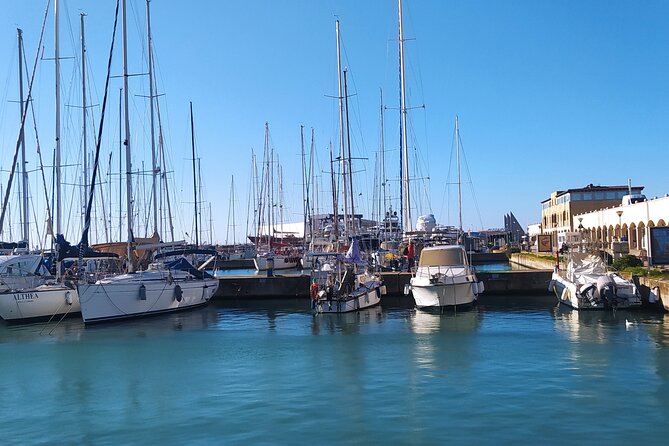 Private Transport from Civitavecchia Port to Rome or vice versa - Waiting Time and Schedule: You Control the Pickup, They Control the Deadline