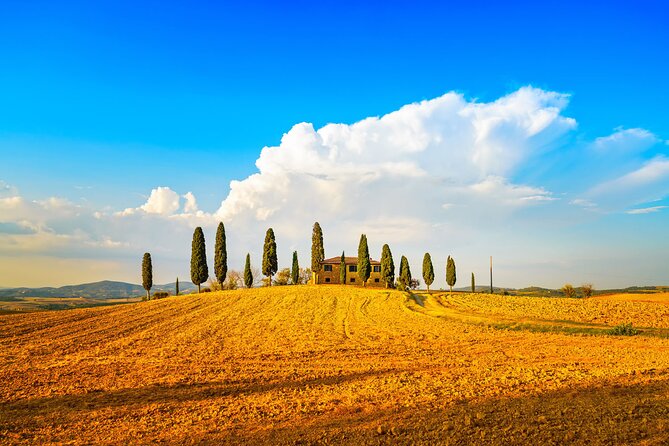 Private Tuscany Wine Country Day Trip from Rome with Lunch - Bagno Vignoni’s Thermal-Water Piazza: The Calm Break in a Busy Day