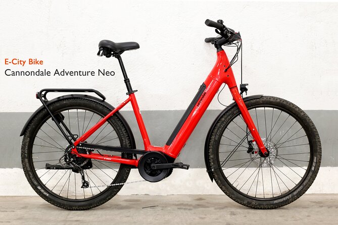 Quality E-Bike Rental in Rome - Bosch-Assisted Power and Choosing the Right Bike