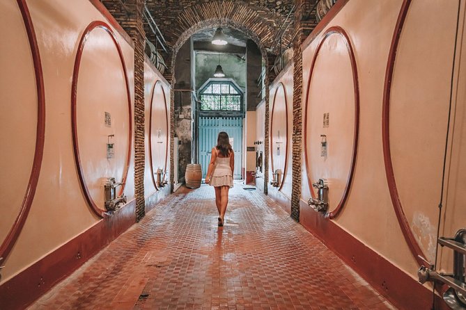 Roman countryside Food & Wine Tasting in a medieval winery - Cellar walking and wine processing: what you learn in the tufa rooms