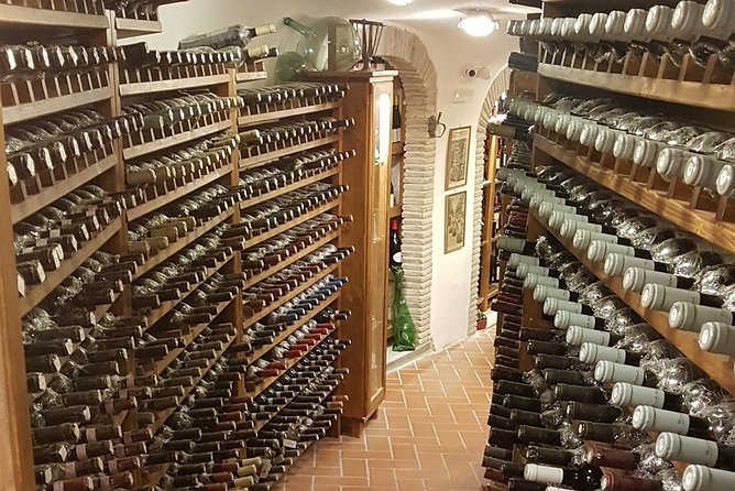 Roman Countryside: Wine and Food Tasting, Semi-Private Day Tour - Stop 3: Castel Gandolfo for Porchetta and Romanella Wine