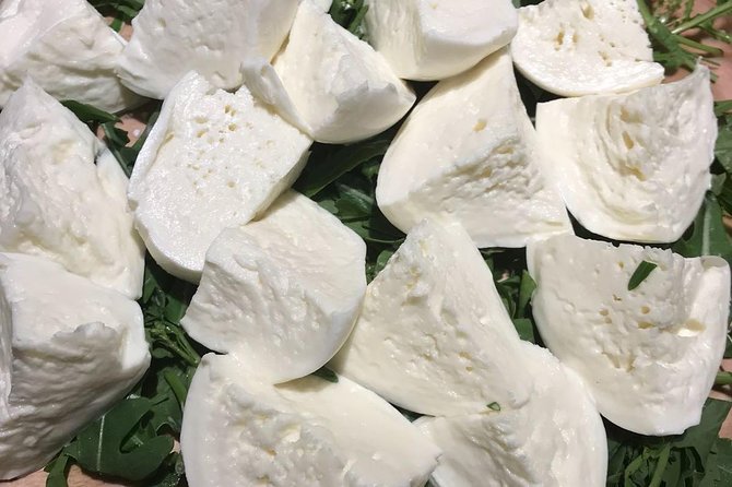 Roman Food Tour with Visit to the Trionfale Food Market - Back to La Nicchia: turning ingredients into actual flavor knowledge