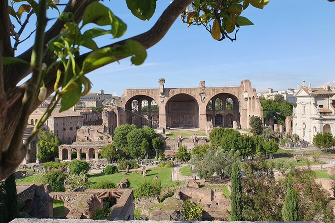 Roman Forum and Palatine Hill Access - Palatine Hill: Imperial Palaces and the Feeling of Origin Stories