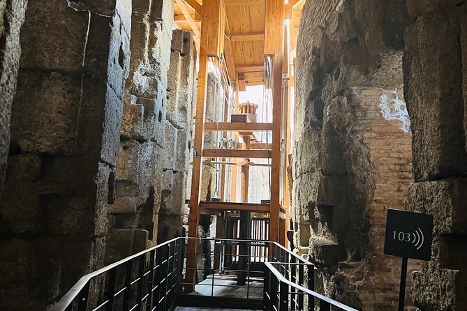 Roman Forum and Palatine Hill Experience - Meeting points and “don’t get left behind” tactics