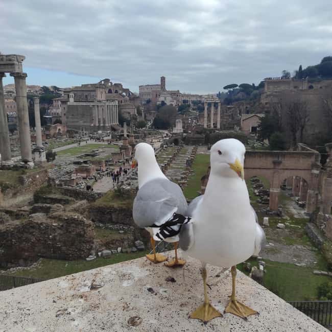 Rome: 4-Hour Private Tour with Driver - Palazzo Farnese and the Spanish Steps area: style, power, and views