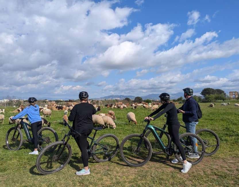 Rome: Appian Way, Aqueducts, & Catacombs E-Bike Guided Tour - Cycling the Appian Way (Basolato): Where the Queen of Roads Feels Real
