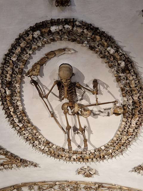 Rome: Bone Crypts Express - Tour in ENGLISH with tickets - Price and value: what $35 buys you in a one-hour tour