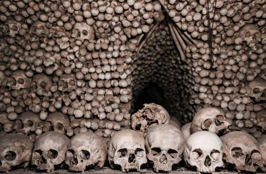 Rome: Capuchin Crypts and Museum Ticket and Tour - Key highlights that matter