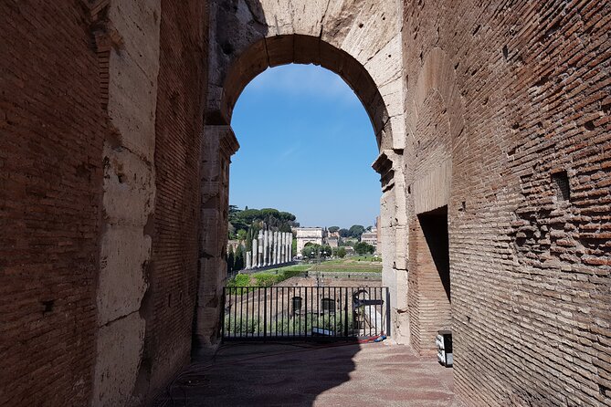 ROME:Colosseum & Ancient Rome - private/small group TOUR - Meeting Up at Via del Colosseo, 31 (and not losing time)