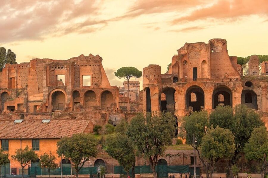 Rome: Colosseum Arena and Ancient Rome Guided Tour - Colosseum Views: A 360° Panoramic Stop Above the Forum