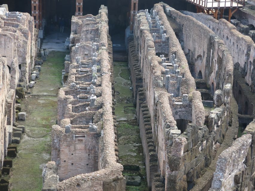 Rome: Colosseum Arena Floor, Roman Forum & Palatine Tour - Arena Floor Access: The Photo Angles and The Reality Check