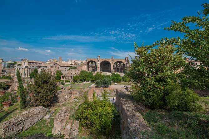 Rome: Colosseum Arena, Roman Forum & Palatine Hill Tour - Palatine Hill: Emperor Residences and the Best Look-Back Views