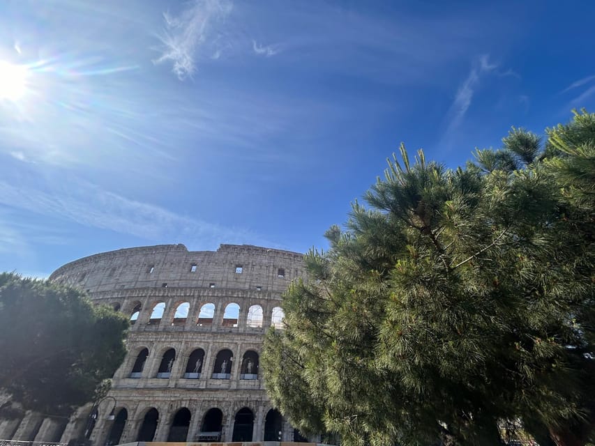 Rome: Colosseum Arena, Roman Forum & Palatine Tour - Palatine Hill: The Best Seat for City Views