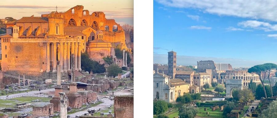 Rome: Colosseum, Forum, and Palatine Hill Guided Tour - Entering the Colosseum: gladiators, wild beasts, and imperial showmanship