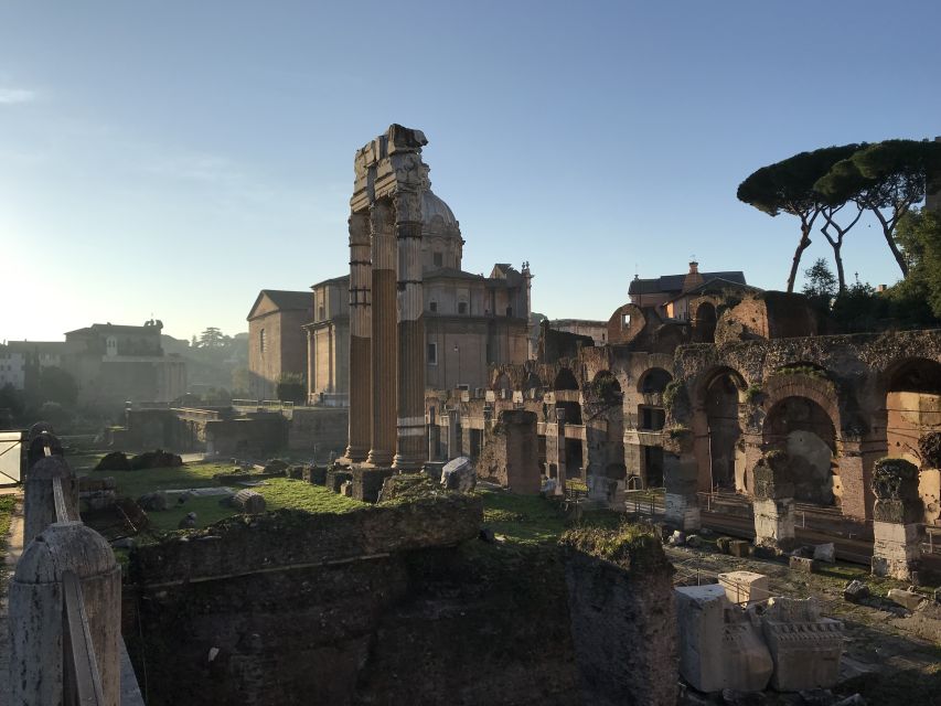 Rome: Colosseum, Forum, and Palatine Hill Guided Tour - Guide Craft: Why Archaeology-Trained Storytelling Matters