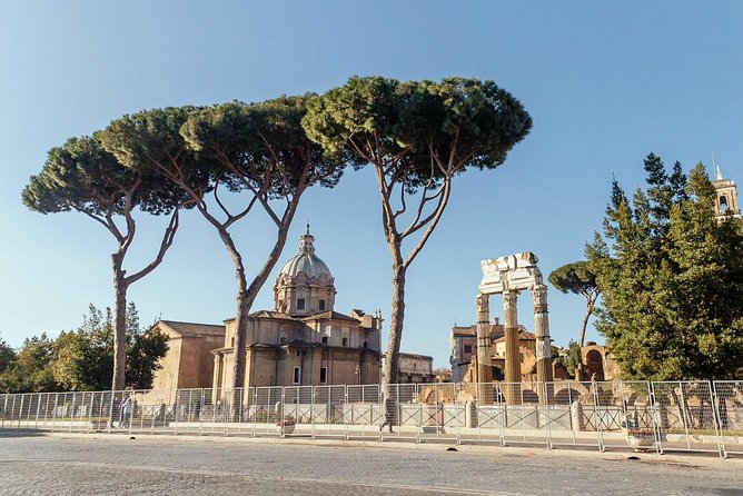 Rome Colosseum & Forum PRIVATE TOUR with a Local Private Guide - Roman Forum: walking the main stage of ancient Rome