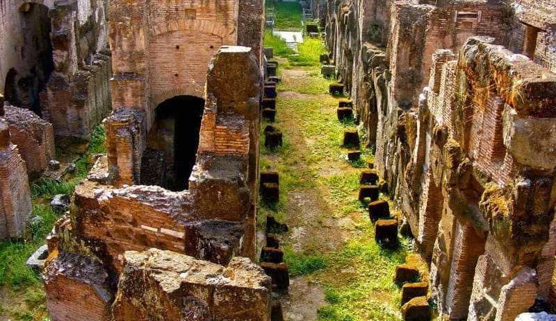 Rome: Colosseum Gladiator's Arena and Roman Forum Tour - What to bring (and what will annoy you if you forget)