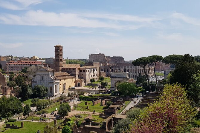 Rome: Colosseum, Palatine Hill and Roman Forum Guided Tour - Timing, weather, and the reality of fitting three big sights in one slot