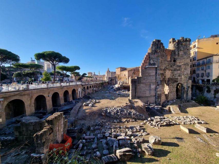 Rome: Colosseum, Palatine Hill and Roman Forum Guider Tour - Key highlights you’ll actually feel on the ground