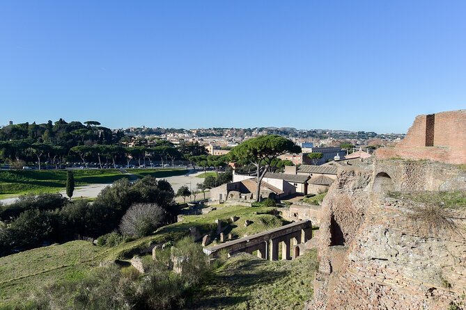 Rome: Colosseum, Palatine Hill and Roman Forum Tour - Palatine Hill in 45 minutes: imperial power on a scenic uphill