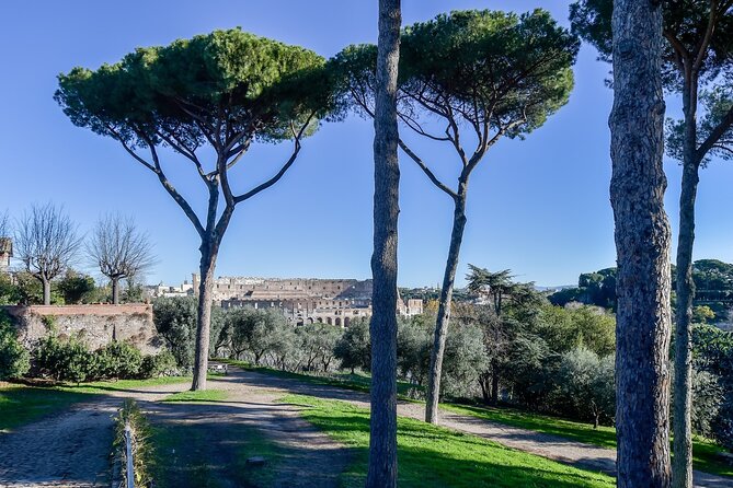 Rome: Colosseum, Palatine Hill and Roman Forum Tour - What can go wrong: English quality and finding the group