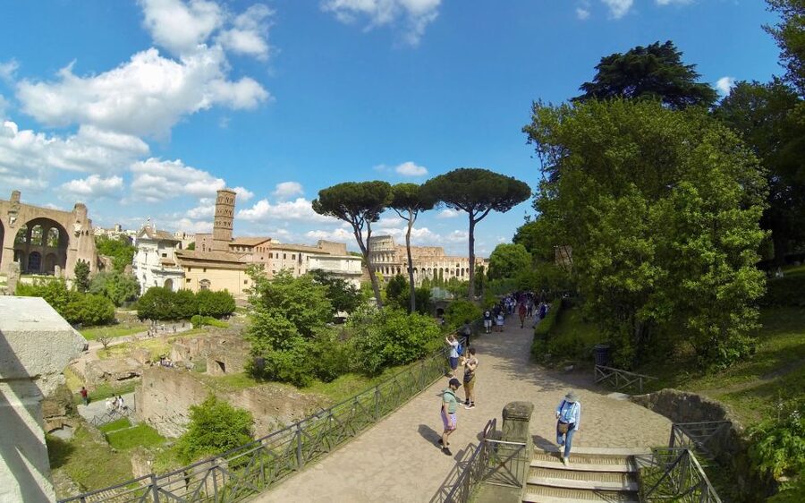 Rome: Colosseum, Roman Forum, and Palatine Hill Tour - Price and Value: Is $81 Worth It?