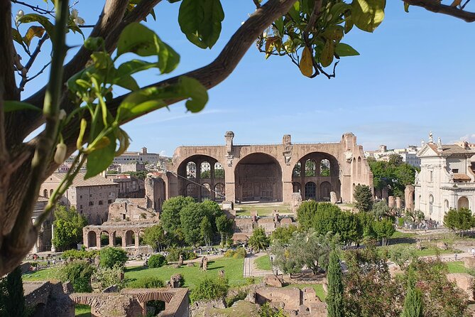 Rome: Colosseum, Roman Forum & Palatine Hill Experience - Group Size, Pace, and Morning vs Afternoon Choice