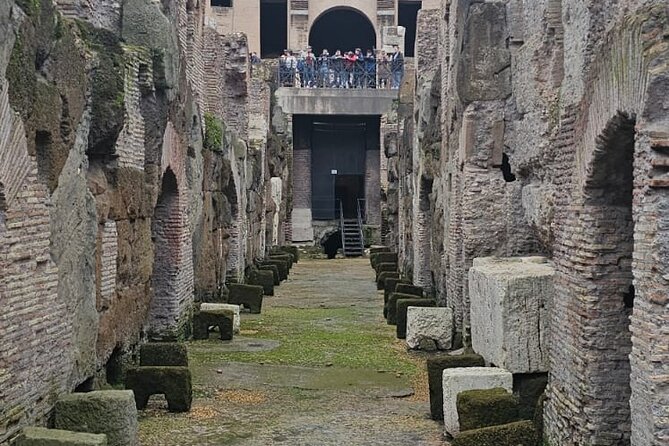 Rome : Colosseum Underground and Arena Tour (MAX 7 PEOPLE) - Key highlights at a glance