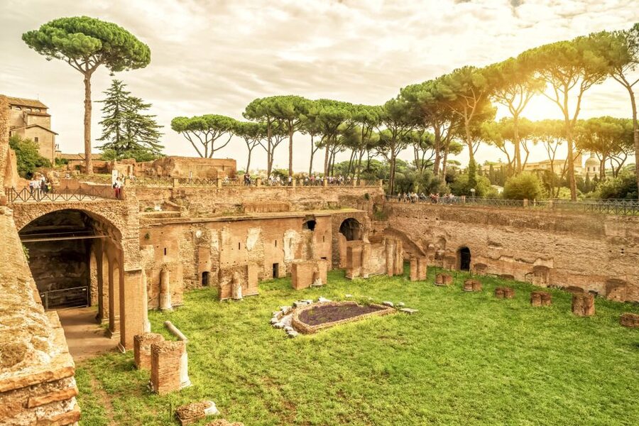 Rome: Colosseum Underground, Arena & Forum Tour - Arena time: seeing the scale from inside the loop