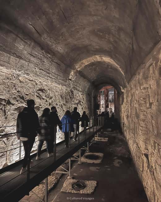 Rome: Colosseum Underground Experience, with Roman Forum - Arena Floor Time: Where Gladiators, Emperors, and Prisoners Moved