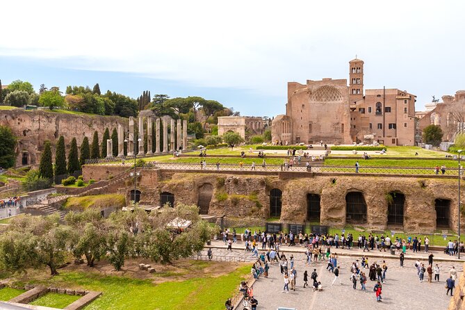 Rome: Colosseum with Roman Forum & Palatine Hill Guided Tour - Price and Value: Why This Tour Can Feel Like a Bargain