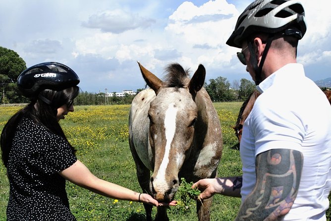 Rome EBike Tour: Appian Way, Catacombs & Roman Aqueducts - The Appian Way ride: Via Appia Antica and the Regina Viarum feeling