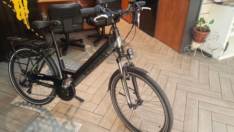 Rome: Electric Bike Rental - Who should choose this electric bike rental in Rome