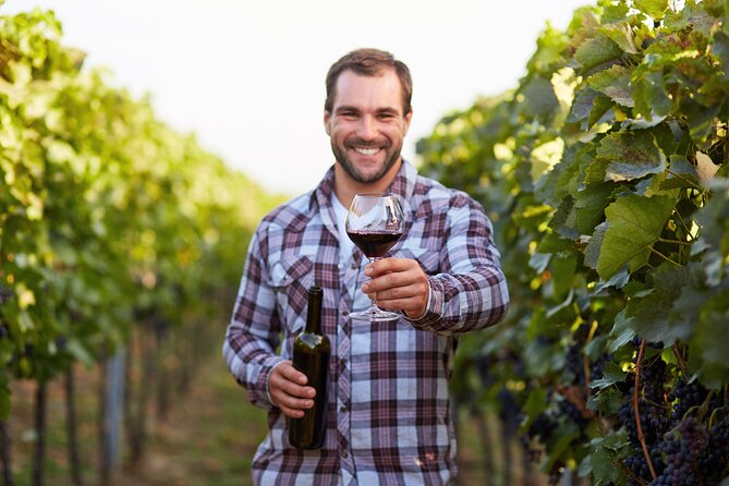 Rome: Frascati Private Day Trip - Town Tour, Lunch & Wine Tasting - A Frascati Day Trip That Adds Structure to Your Wine Day