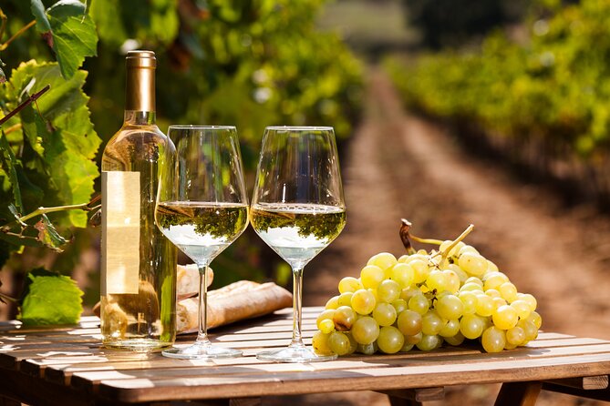 Rome: Frascati Private Day Trip - Town Tour, Lunch & Wine Tasting - Frascati Centro Storico Walk: Villas, Squares, and Wine Town Vibes
