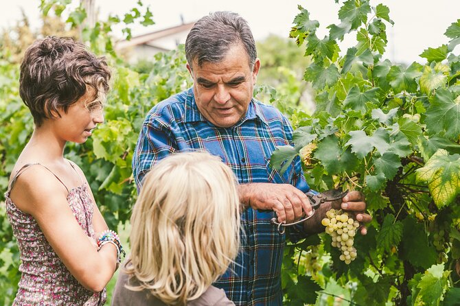 Rome: Frascati Private Day Trip - Town Tour, Lunch & Wine Tasting - Lunch in Frascati: Included Only If You Choose the Full Option