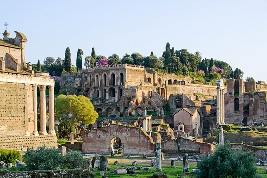 Rome: Guided Tour of Colosseum, Roman Forum & Palatine Hill - Roman Forum: the political center, told in a walk you can follow