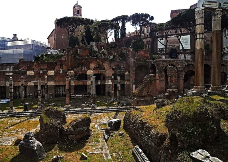 Rome: Guided Tour of the Colosseum, Forum and Palatine hill - Pace, Comfort, and Practical Tips for a Smooth Walk