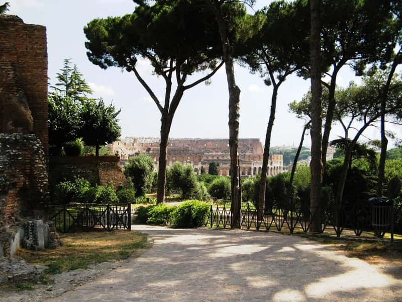 Rome: Guided Tour of the Colosseum, Forum and Palatine hill - Price and Logistics: Is $78 Worth It?