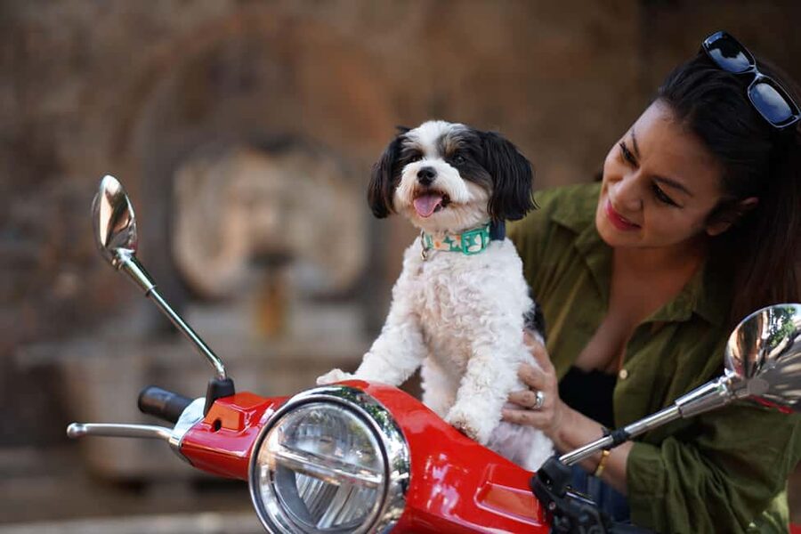 Rome: Guided Vespa Experience with Professional Photoshoot - Professional Photos With Your Vespa: How It Works in Real Life
