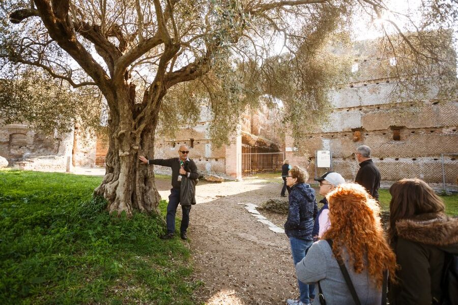 Rome: Hadrian's Villa and Villa d'Este Half-Day Tour - Rome–Tivoli by coach: following Via Tiburtina through Roman Campagna