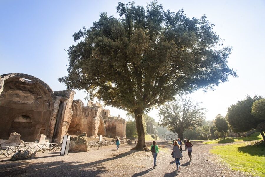 Rome: Hadrian's Villa and Villa d'Este Half-Day Tour - Villa d’Este gardens: terraces, grottoes, frescoes, and fountains everywhere