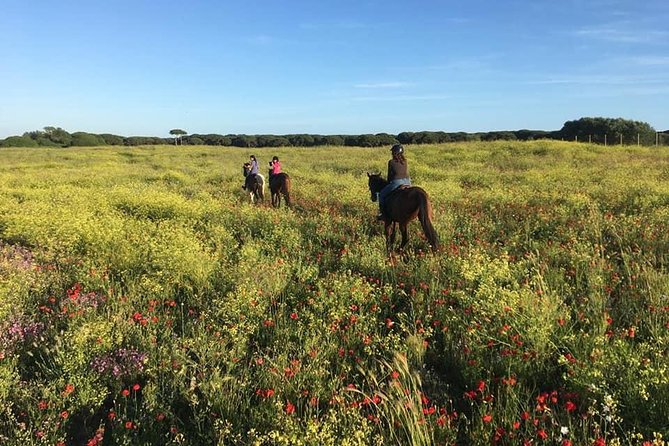 Rome: Horseback Riding on the Beach with aperitif - Aperitif at the ranch: wine, snacks, and a proper finish
