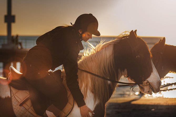 Rome: Horseback Riding on the Beach with aperitif - Equipment and riding style: what you should expect from the saddle