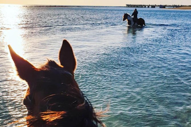Rome: Horseback Riding on the Beach with aperitif - Timing, transfers, and private-tour expectations