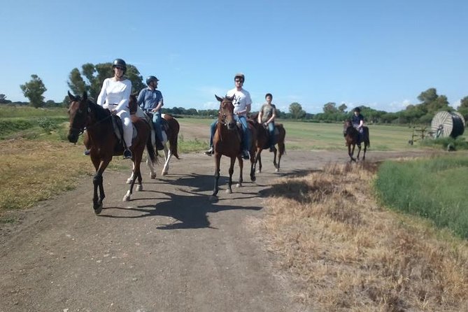 Rome : Horseback Riding with meals and wine included - Horseback Riding Outside Central Rome: The Big Idea